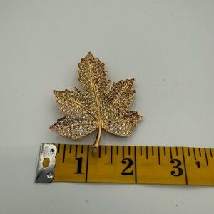 Image thumbnail 6